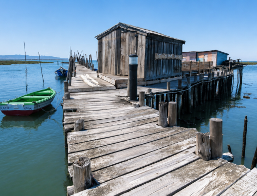 Carrasqueira Palafitic Pier: Comporta’s Most Beautiful Hidden Gem